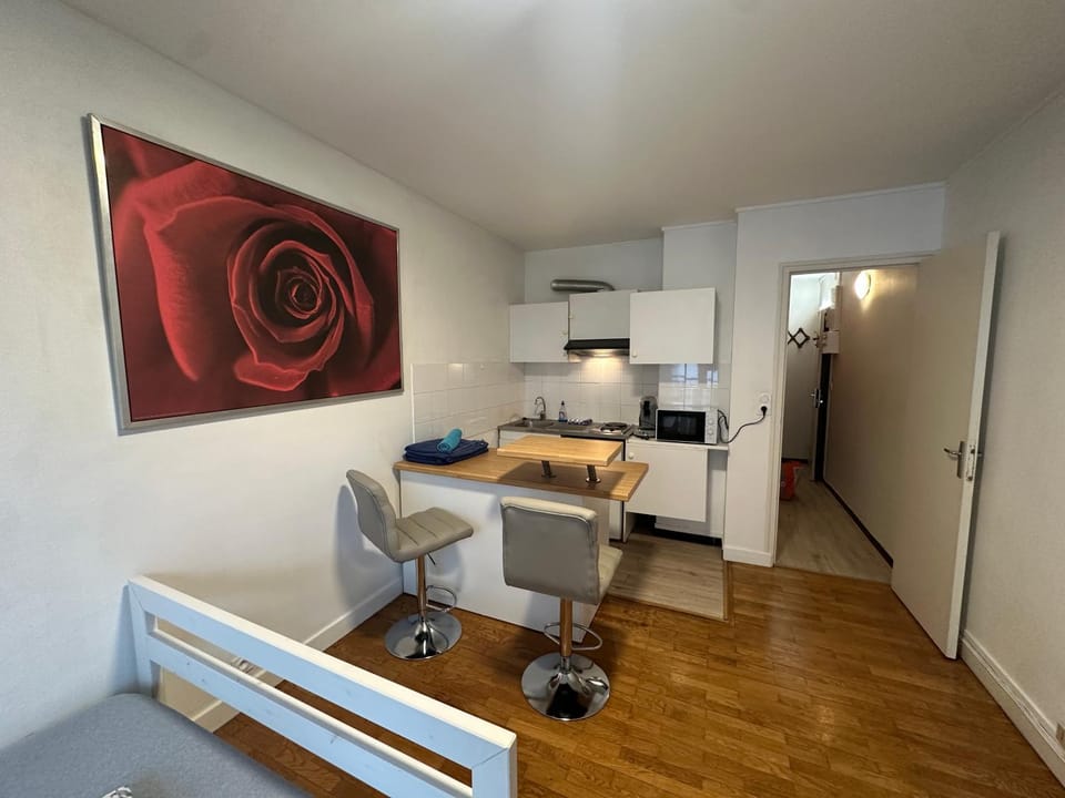 Joli Studio Proche Parc Paul Mistral Apartment in Grenoble