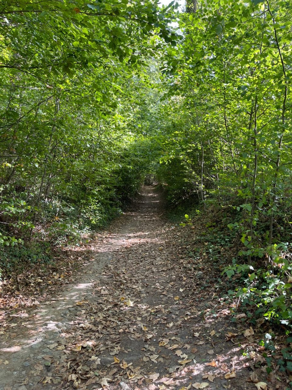 Natural landscape