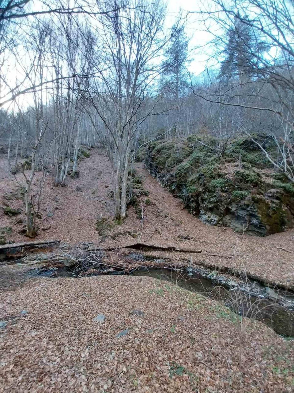 Hiking
