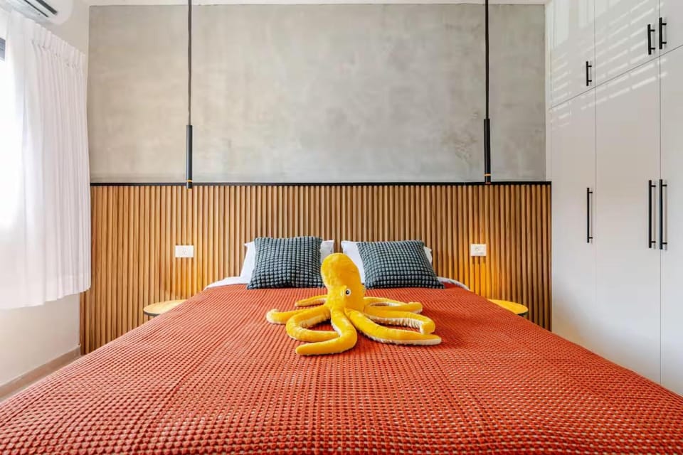 Bed, Photo of the whole room, Bedroom