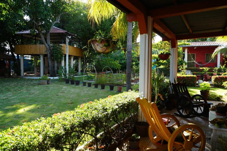 Patio, Day, Garden