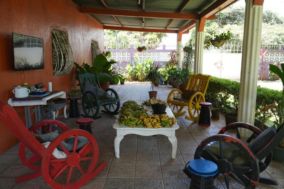 Day, Garden, Food