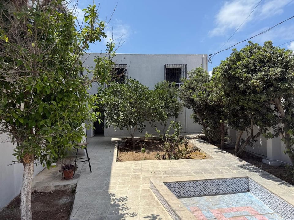 Day, Garden, Garden view