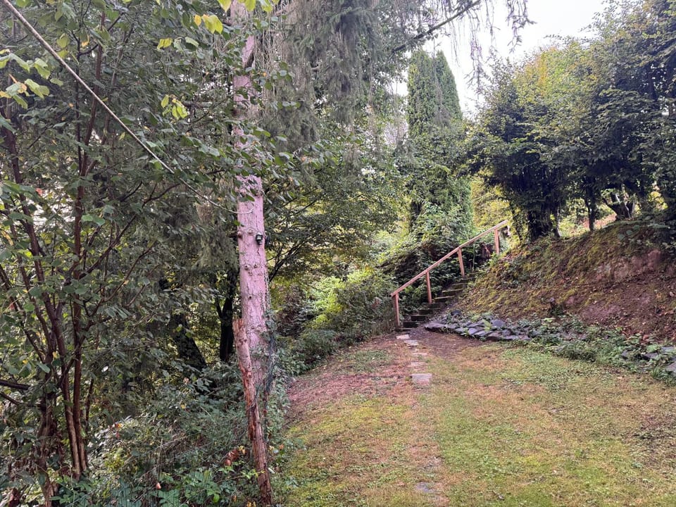 Garden, Garden, Garden view