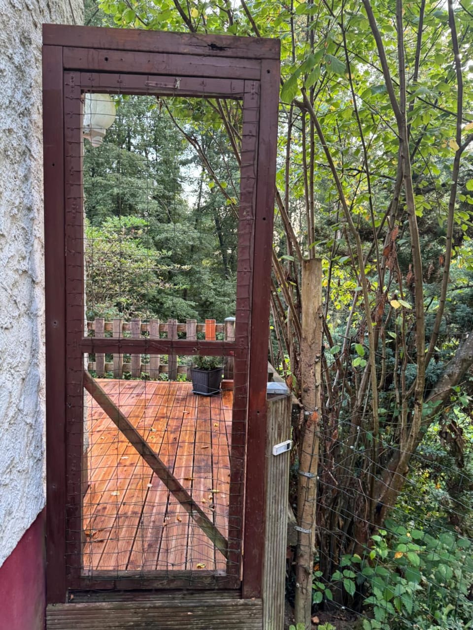 Garden view