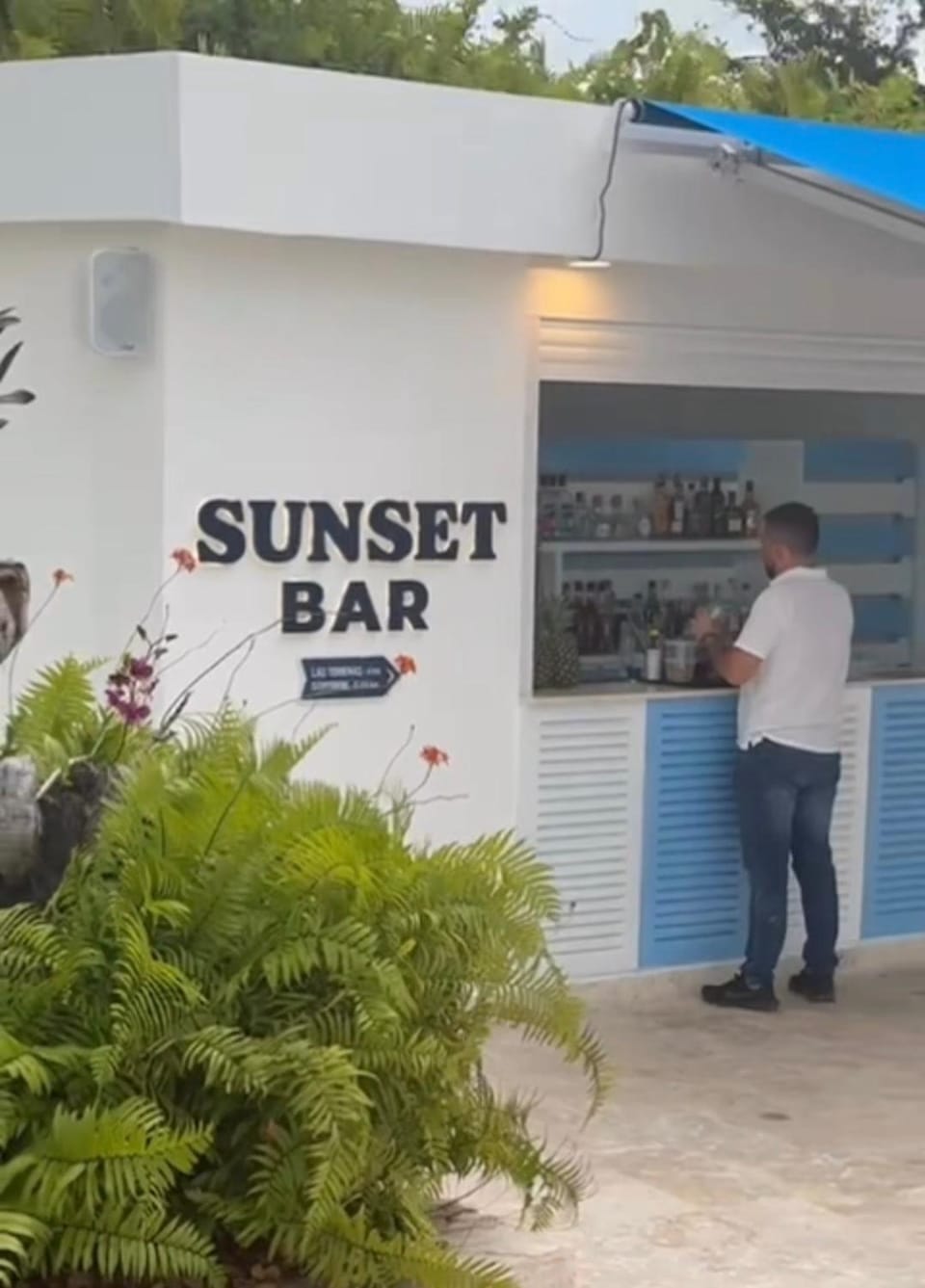 Lounge or bar