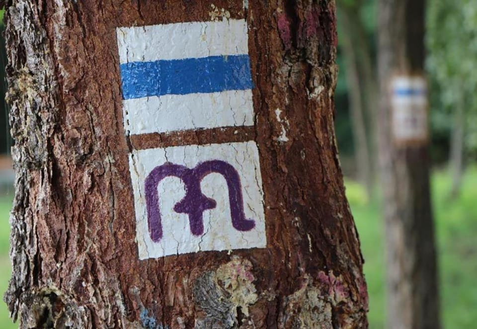 Hiking, Sports