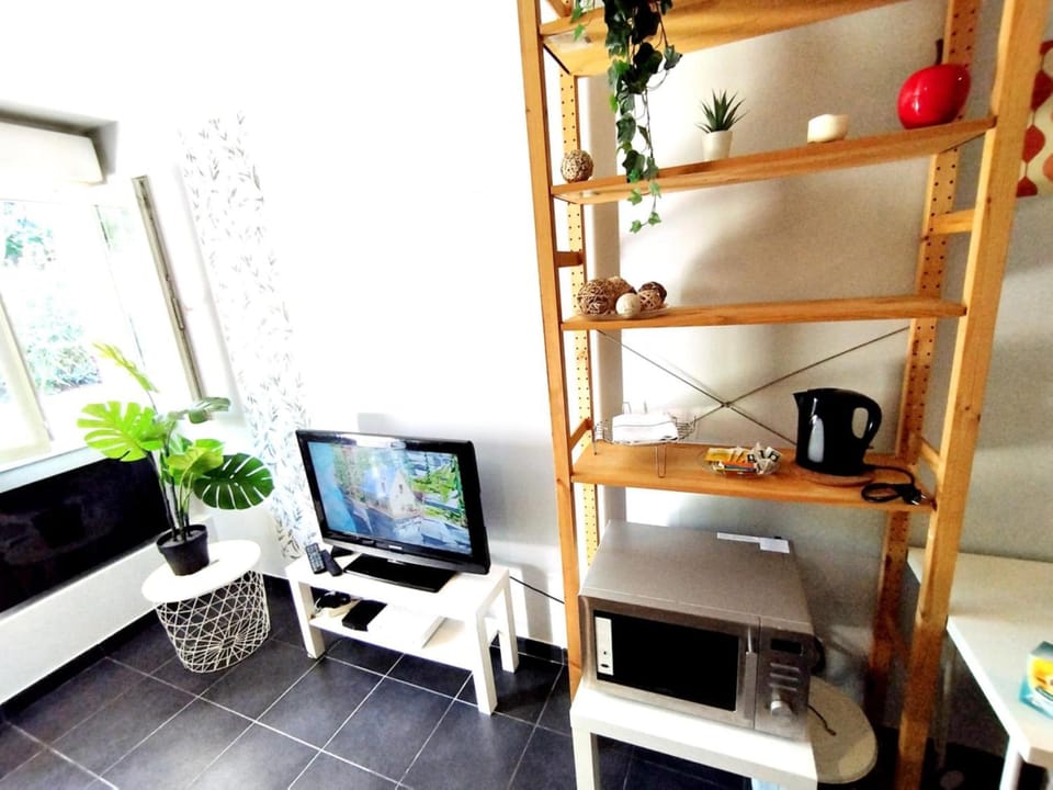 TV and multimedia