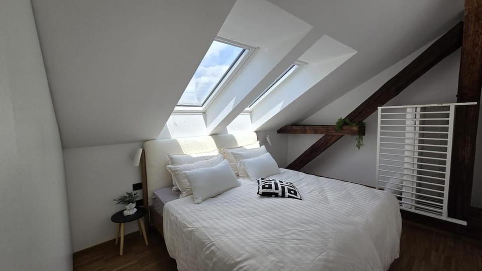 Funky Stylish Penthouse Apartment in Ljubljana