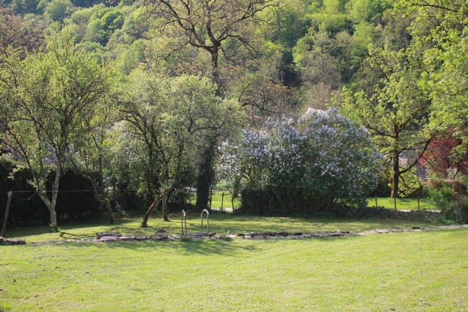 Natural landscape, Garden, Garden view