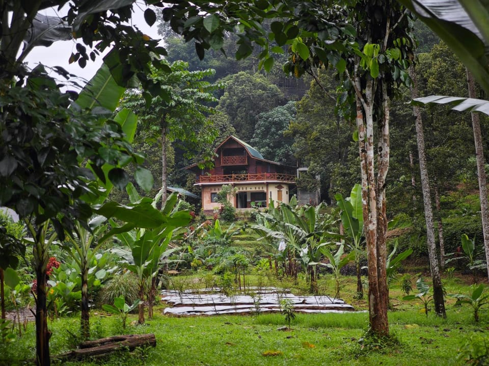Bukit Lawang - Batu Kapal Rimba House Bed and Breakfast in Indonesia