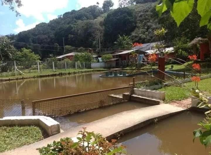 Sítio Isolina Piscina, Campo e Lago House in State of São Paulo