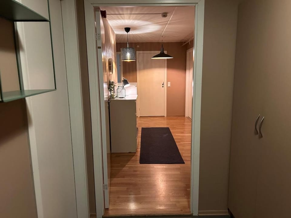 139m2, 5 bedrooms, 2 baths, with sauna, ski in out Apartment in Viken, Norway
