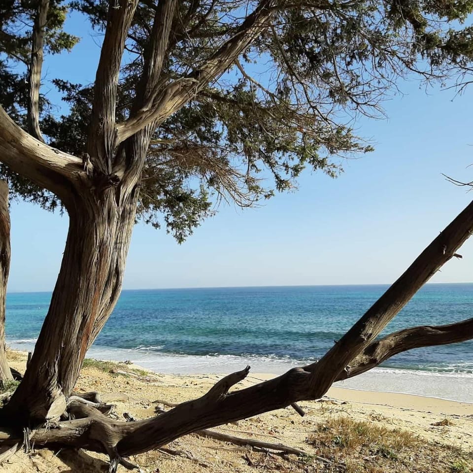 Casale Diletta Bed and Breakfast in Sardinia