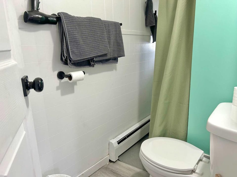 Chic & Sunny 1BR Hideaway- Apt 1 Apartment in Bridgewater