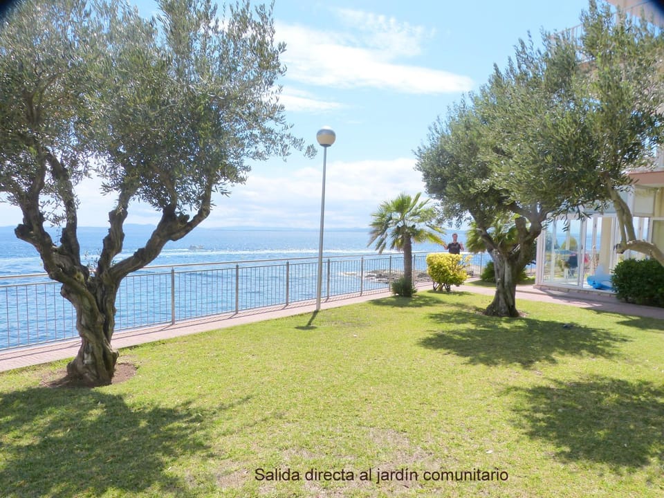 Garden, Beach