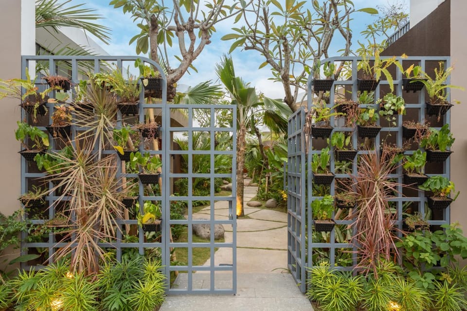 Day, Garden, Garden view