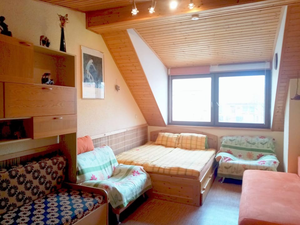 Penzion Slunce nad Vinným Sklepem Inn in South Moravian Region