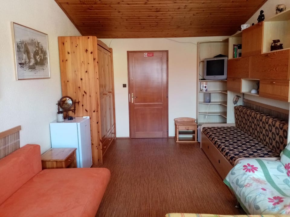 Bed, Living room, Photo of the whole room, Decorative detail
