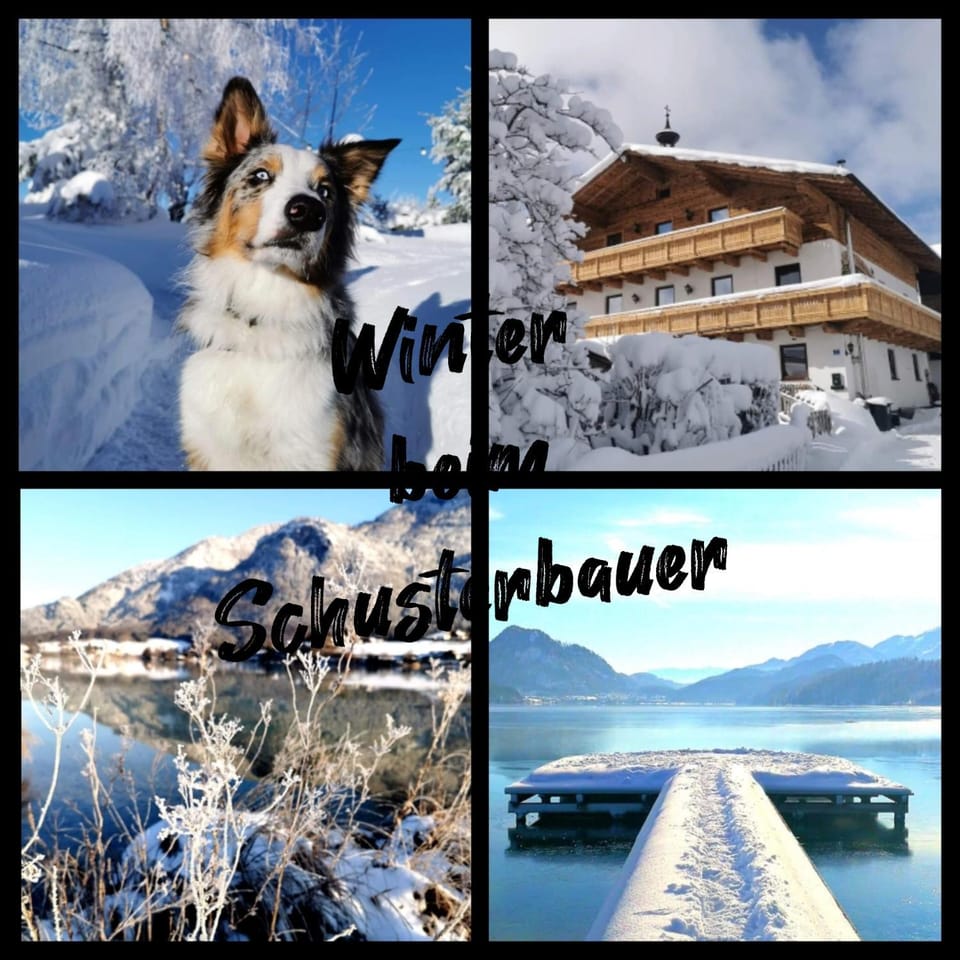 Property building, Nearby landmark, Staff, Natural landscape, Winter