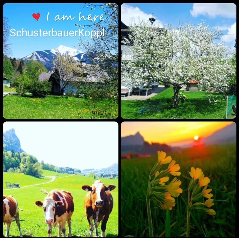 Spring, Natural landscape