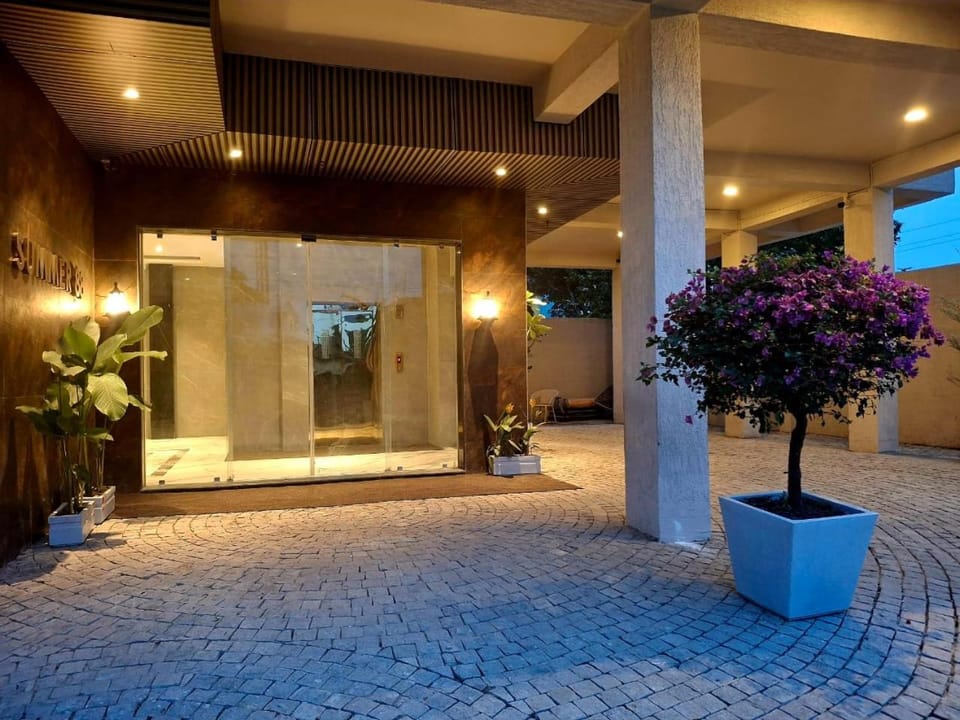 Night, Garden, Garden view