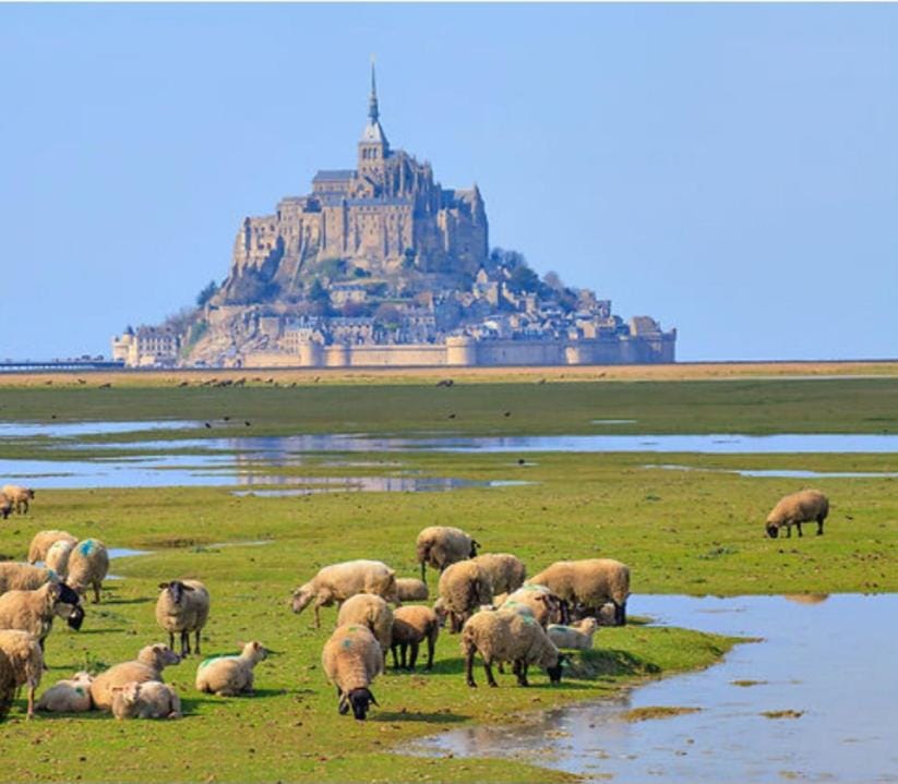 Gîte 6pers proche Mont-St-Michel - calme & jardin House in Normandy