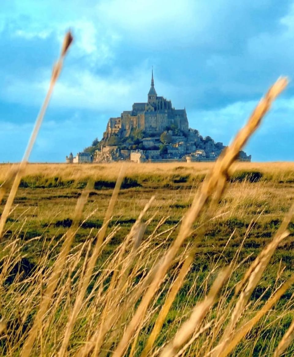 Gîte 6pers proche Mont-St-Michel - calme & jardin House in Normandy