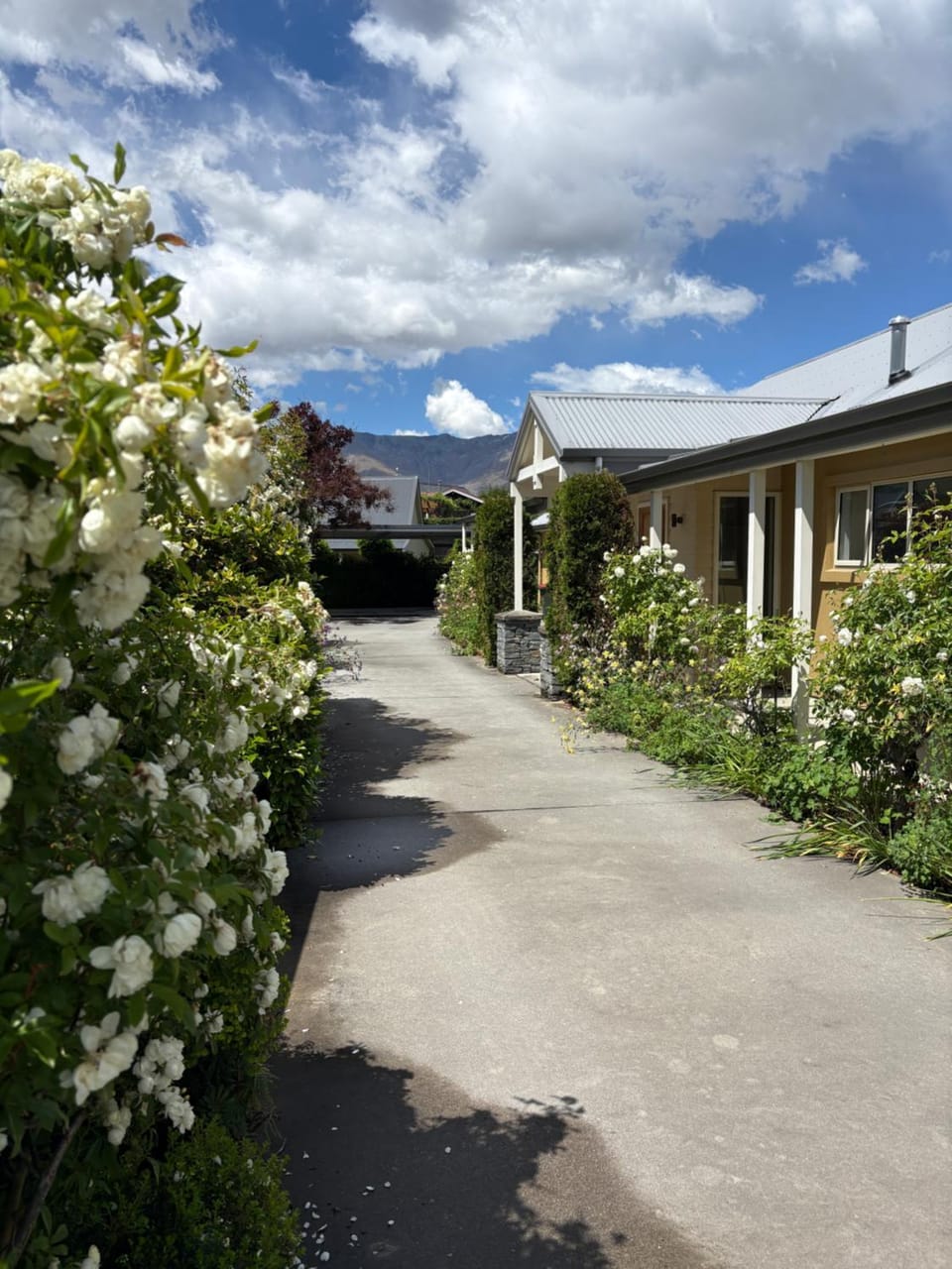 Alpine Rose Retreat House in Arrowtown