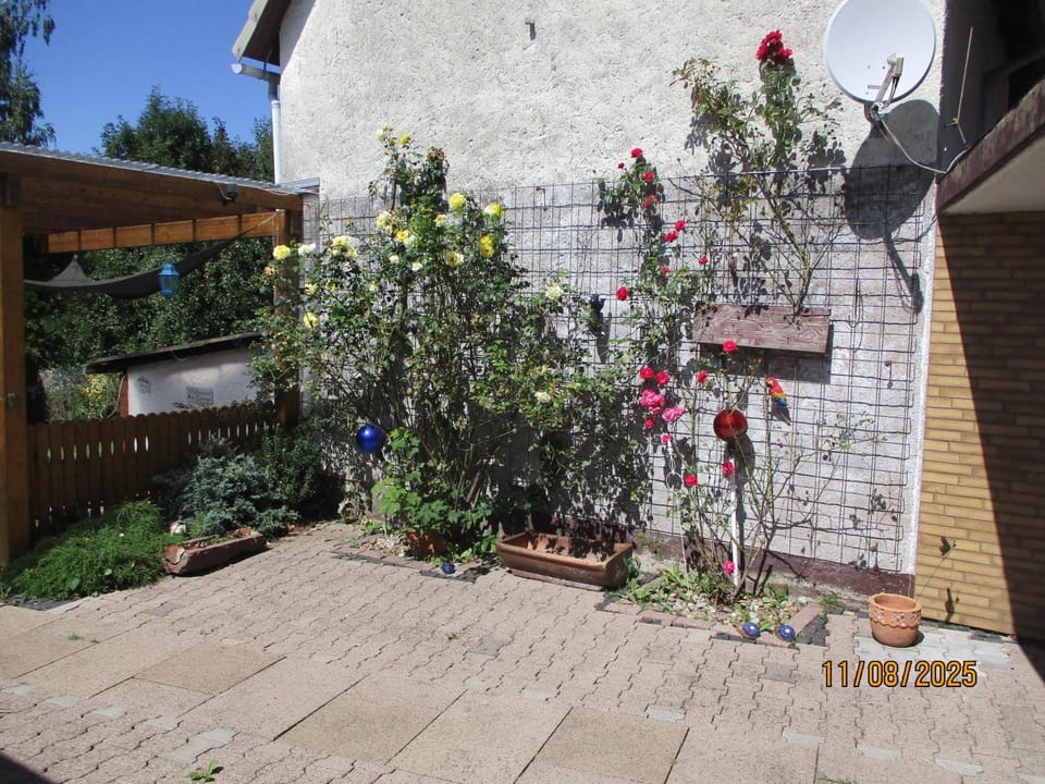 Property building, Garden