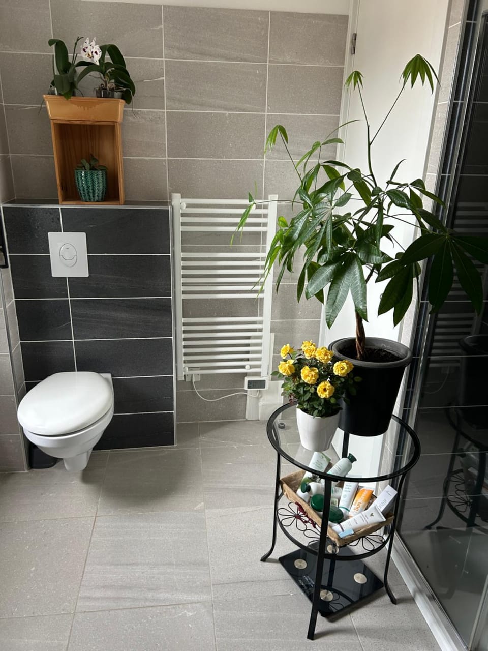 Toilet, Bathroom