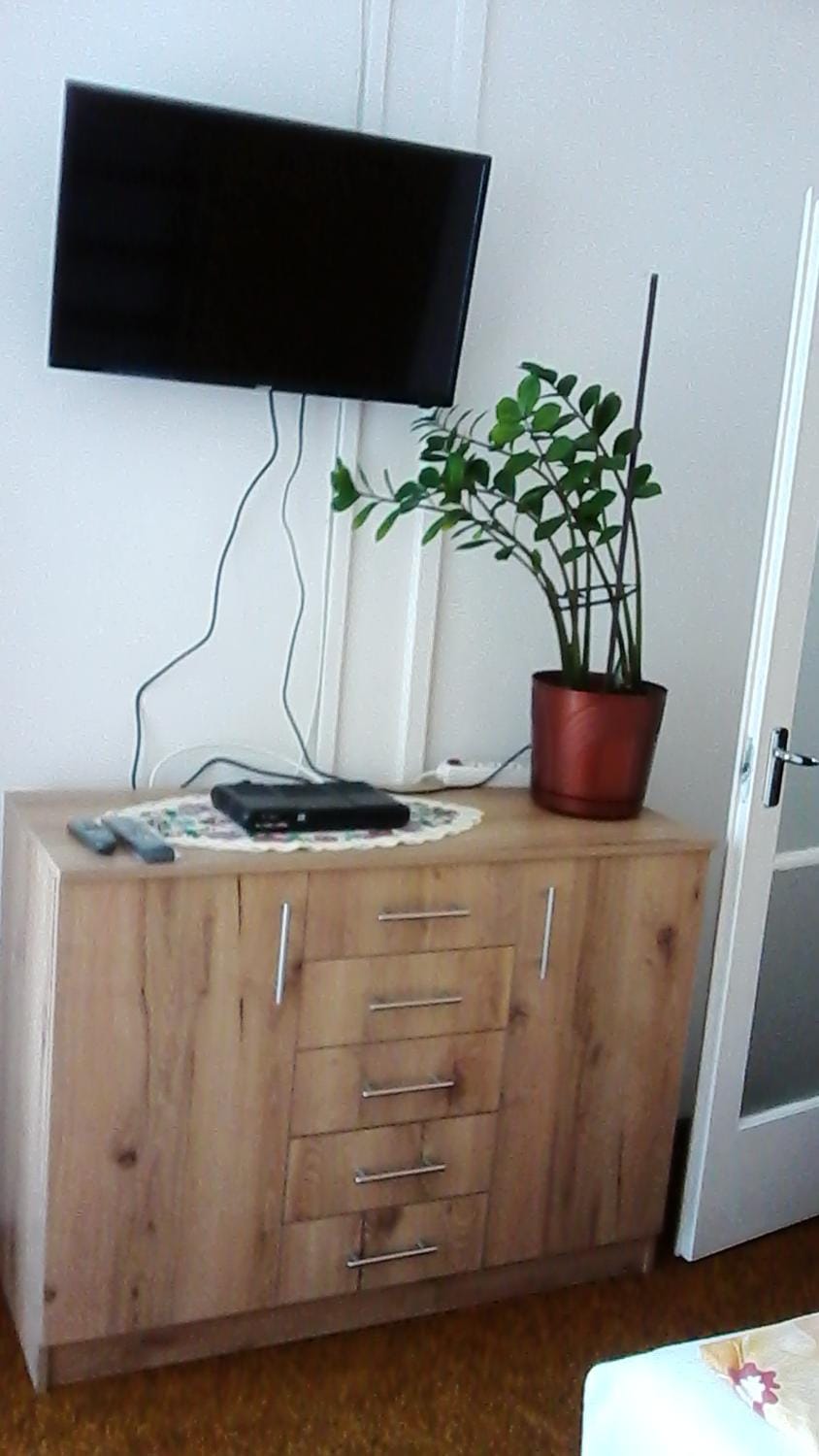Communal lounge/ TV room, TV and multimedia