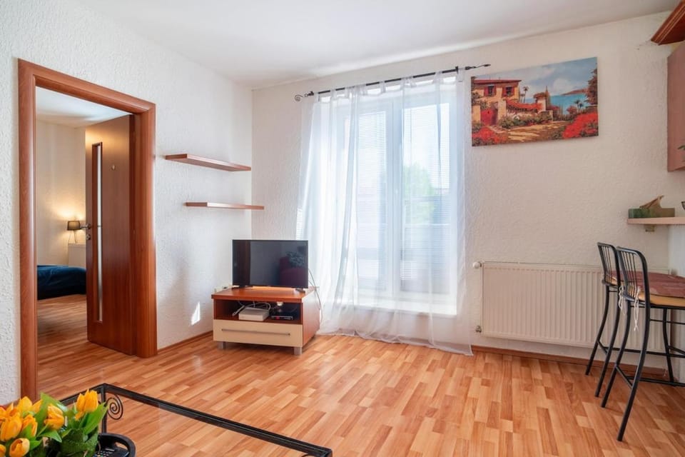 Comfy 1BR Apartment Apartment in Slovakia