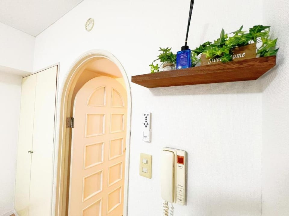 Ikebukuro Cozy ハウス5 Apartment in Japan