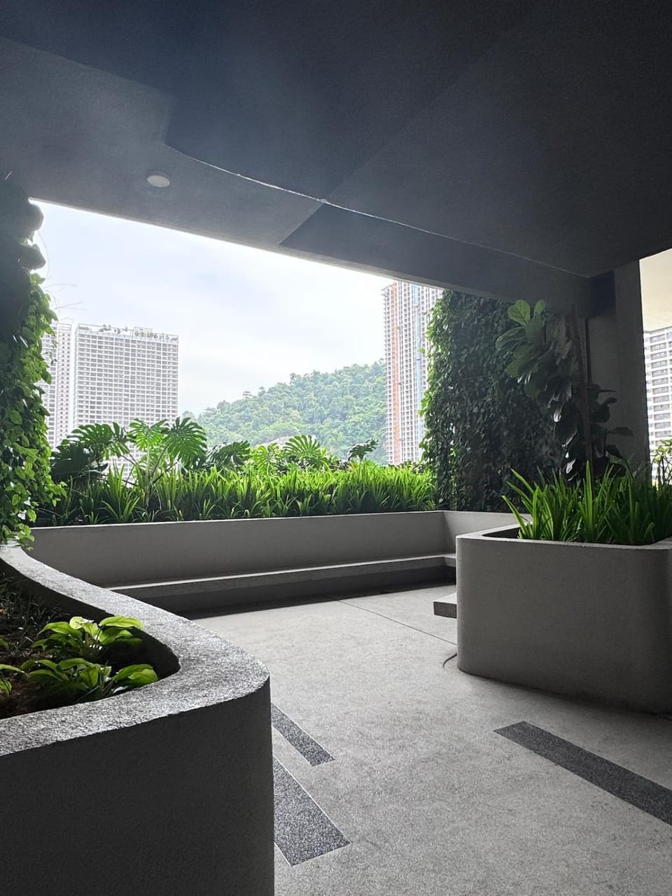 Garden view