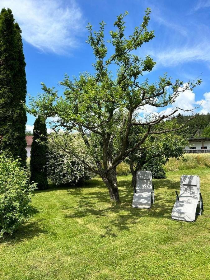 Natural landscape, Garden