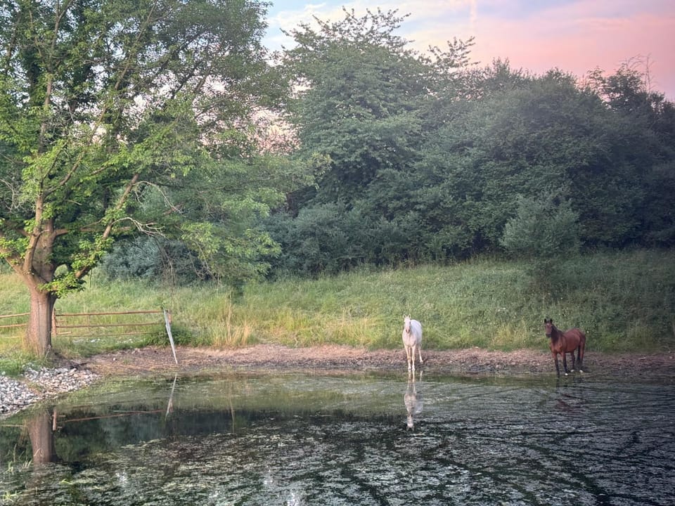 Jurta Lilly Luxury tent in South Bohemian Region