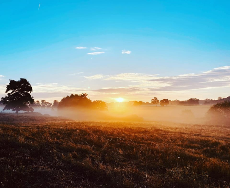 Natural landscape, View (from property/room), Garden view, Sunrise