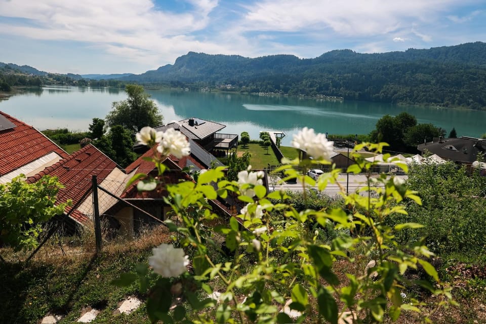 Lake view
