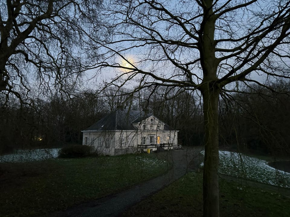 Night, Natural landscape, View (from property/room), Garden view