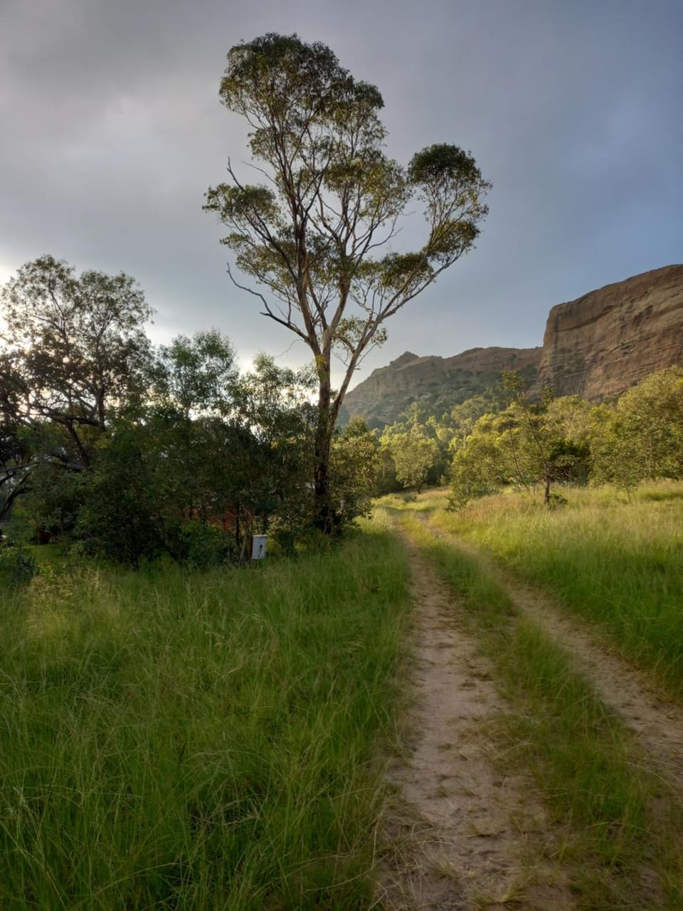 Natural landscape, Summer, Mountain view