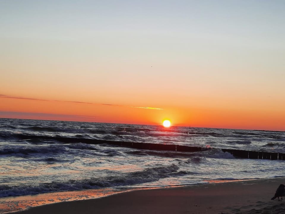 Sunrise