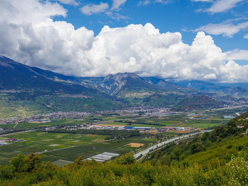 View (from property/room)