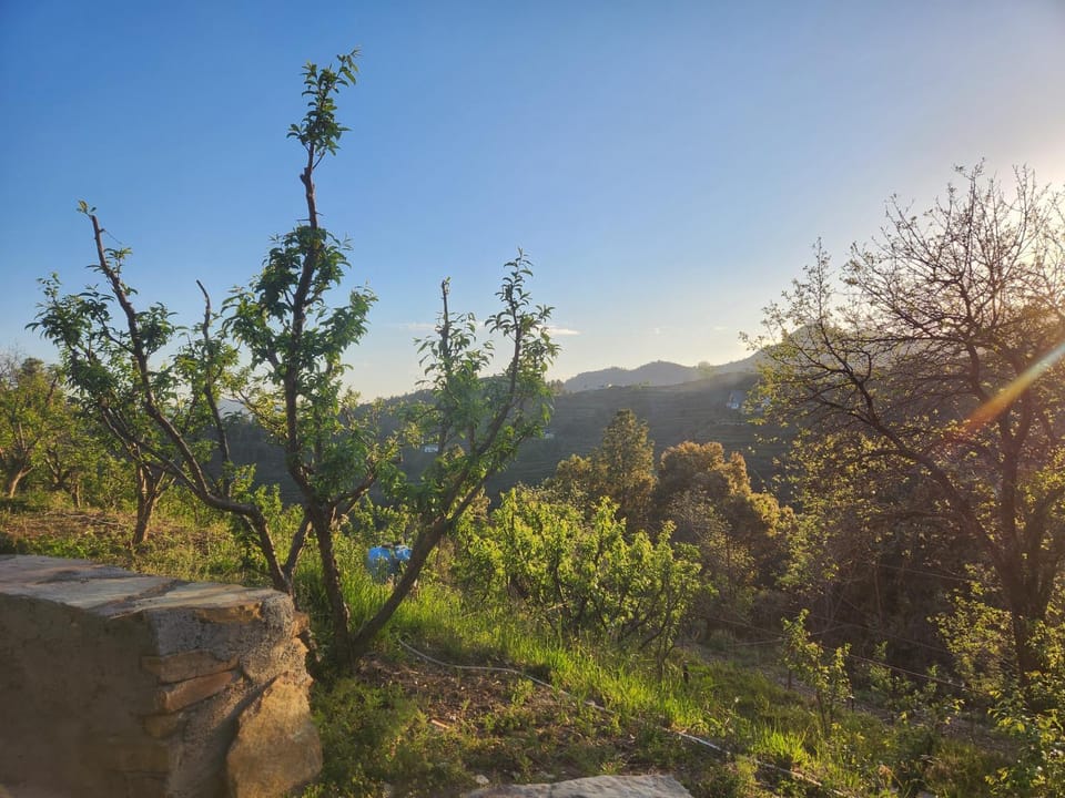 The Gypsy Soul Mukteshwar Vacation rental in Uttarakhand