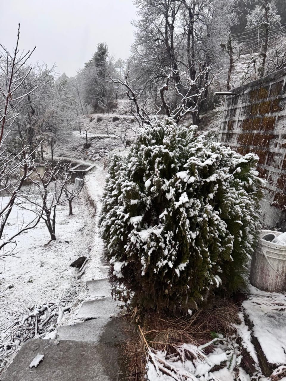 The Gypsy Soul Mukteshwar Vacation rental in Uttarakhand