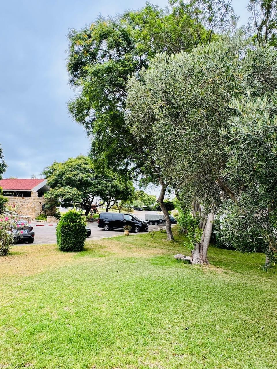 Natural landscape, Garden, Parking