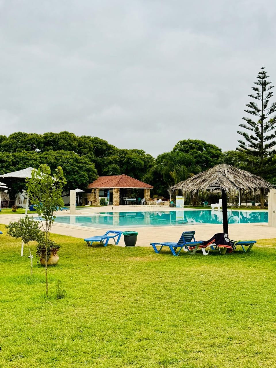 Day, Natural landscape, Garden, Swimming pool, sunbed
