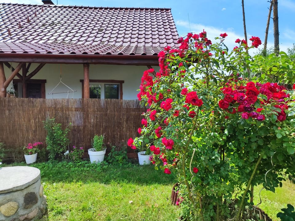 Property building, Spring, Day, Garden, Garden, Garden view