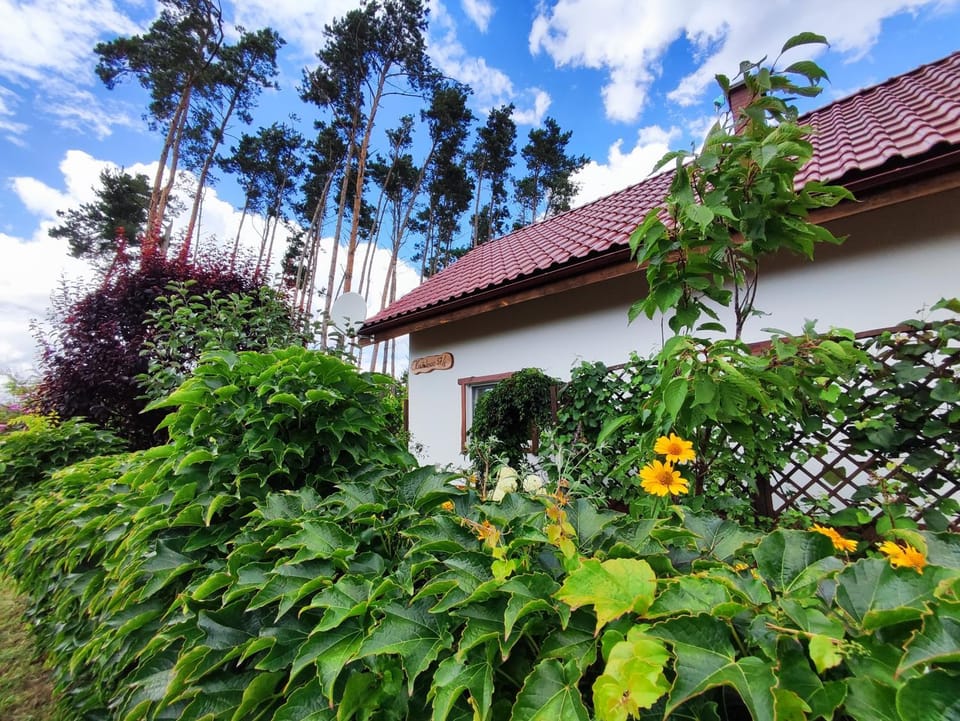 Property building, Spring, Day, Summer, Garden, Garden, Garden view