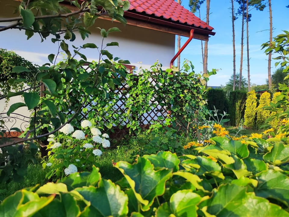 Property building, Spring, Day, Summer, Garden, Garden, Garden view